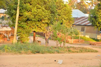 DSC_4274 (Large).JPG